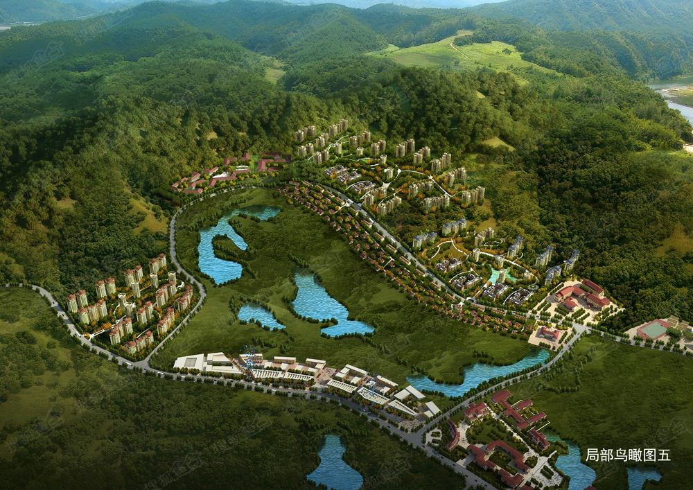 ���ϱ�����������